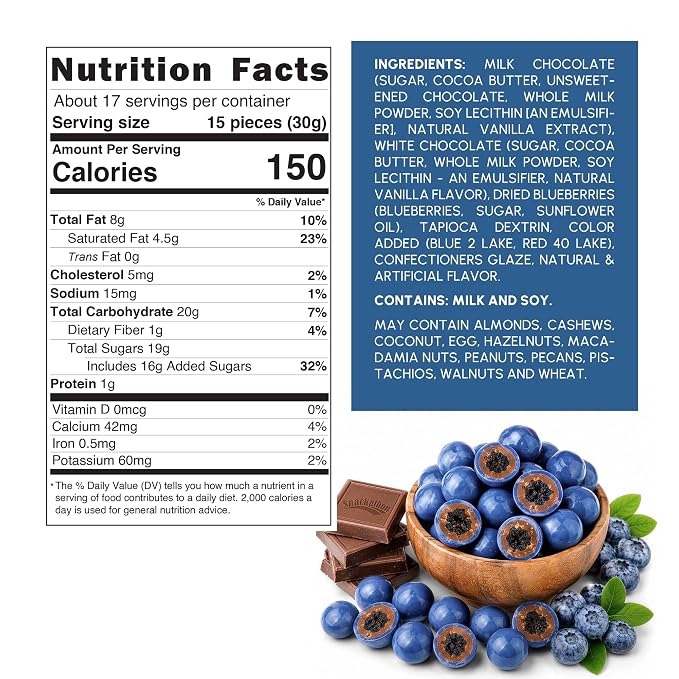 Snackathon Double Chocolate Covered Blueberries, Creamy & Fruity Gourmet Chocolate Candy