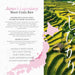 East and Else Koshihikari Japanese Short Grain Sushi Rice, Ultra-Fancy Milled White Rice East and Else 