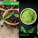 Maeda-en Matcha Green Tea Bags, 7 OZ - Bulk Pack 100 Count Maeda-en 