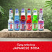 Shirakiku Ramune Soda – Japanese Marble Soft Drink, Assorted Flavors, 6.76 fl oz Shirakiku 