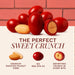 Snackathon Boston Baked Beans Candy, 15 oz – Classic Sweet & Crunchy Red Candy Coated Peanuts in Resealable Bag, Nostalgic Retro Movie Theater Snack, Made in USA Snackathon 