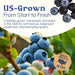 Snackathon Dried Blueberries, Lightly Sweetened, Soft & Plump Whole Berries, US-Grown, Gluten-Free, Non-GMO, No Sulfites, Dried Fruit for Snacking, Baking & Toppings Snackathon 