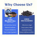 Snackathon Dried Blueberries, Lightly Sweetened, Soft & Plump Whole Berries, US-Grown, Gluten-Free, Non-GMO, No Sulfites, Dried Fruit for Snacking, Baking & Toppings Snackathon 
