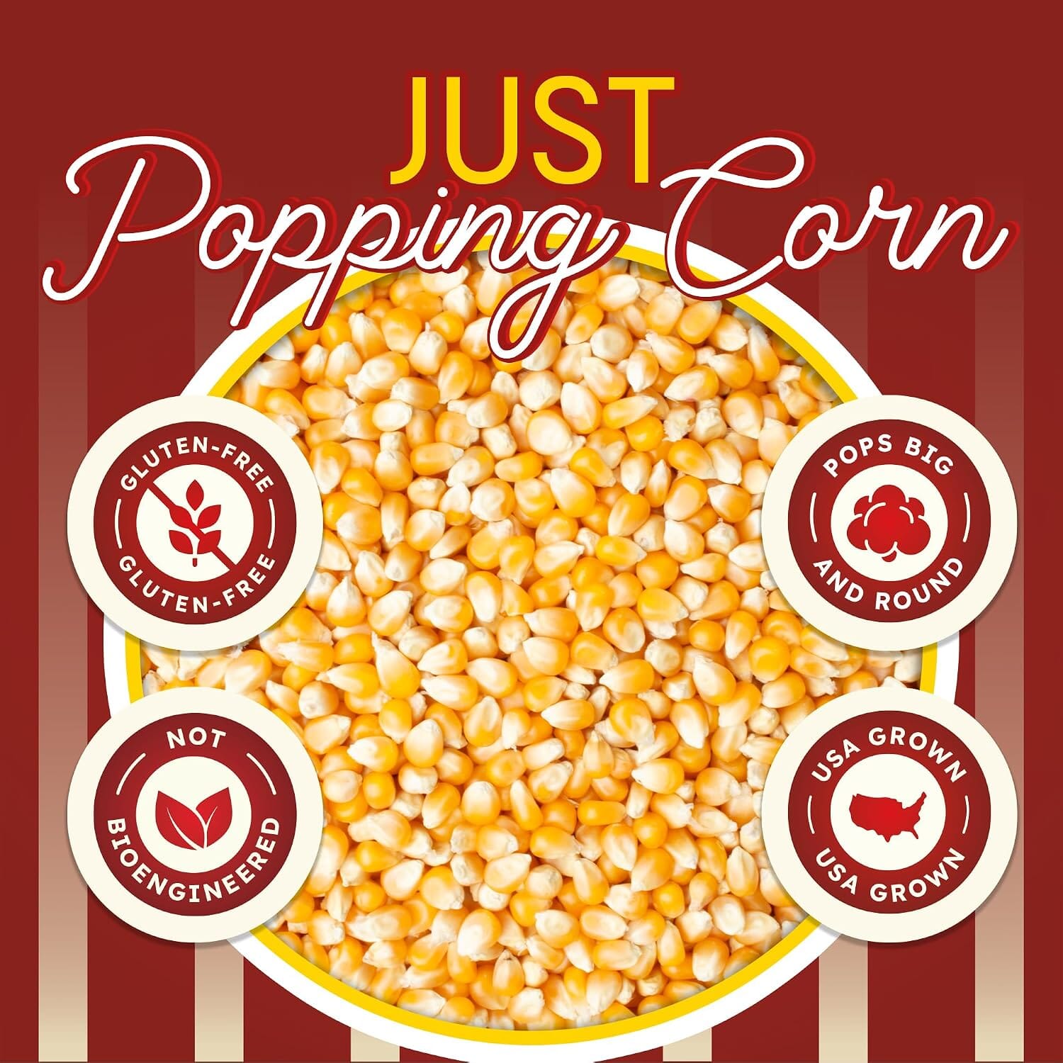 Snackathon Mushroom Popcorn Kernels, for Caramel & Kettle Corn Bulk Non-GMO, Gluten-Free Gourmet Popping Corn, USA Grown Kernels, Pops Ball-Shaped, Large & Round Snackathon 