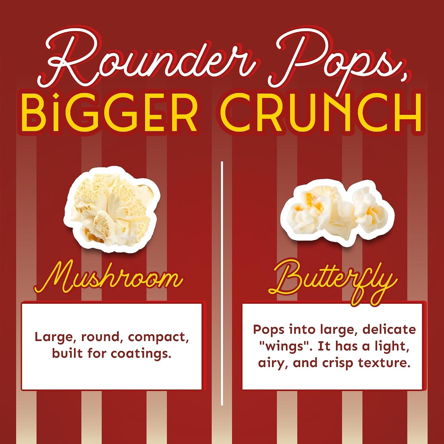 Snackathon Mushroom Popcorn Kernels, for Caramel & Kettle Corn Bulk Non-GMO, Gluten-Free Gourmet Popping Corn, USA Grown Kernels, Pops Ball-Shaped, Large & Round Snackathon 
