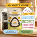Snackathon Onigiri Seaweed Wrappers Includes Cute Sealing Stickers Snackathon Foods 