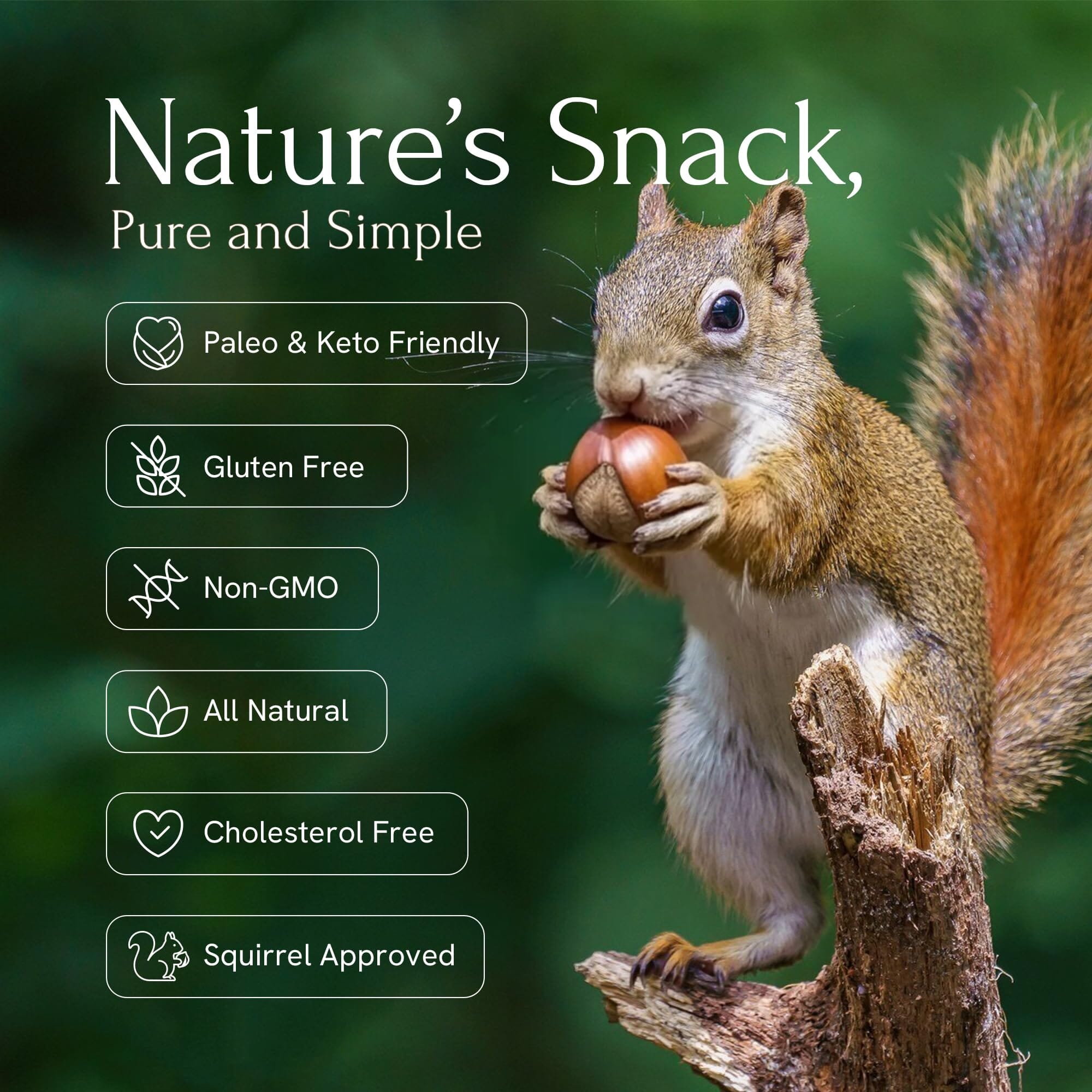 Snackathon Oregon Hazelnuts In Shell, Raw Whole Filberts (Various Sizes) Snackathon 