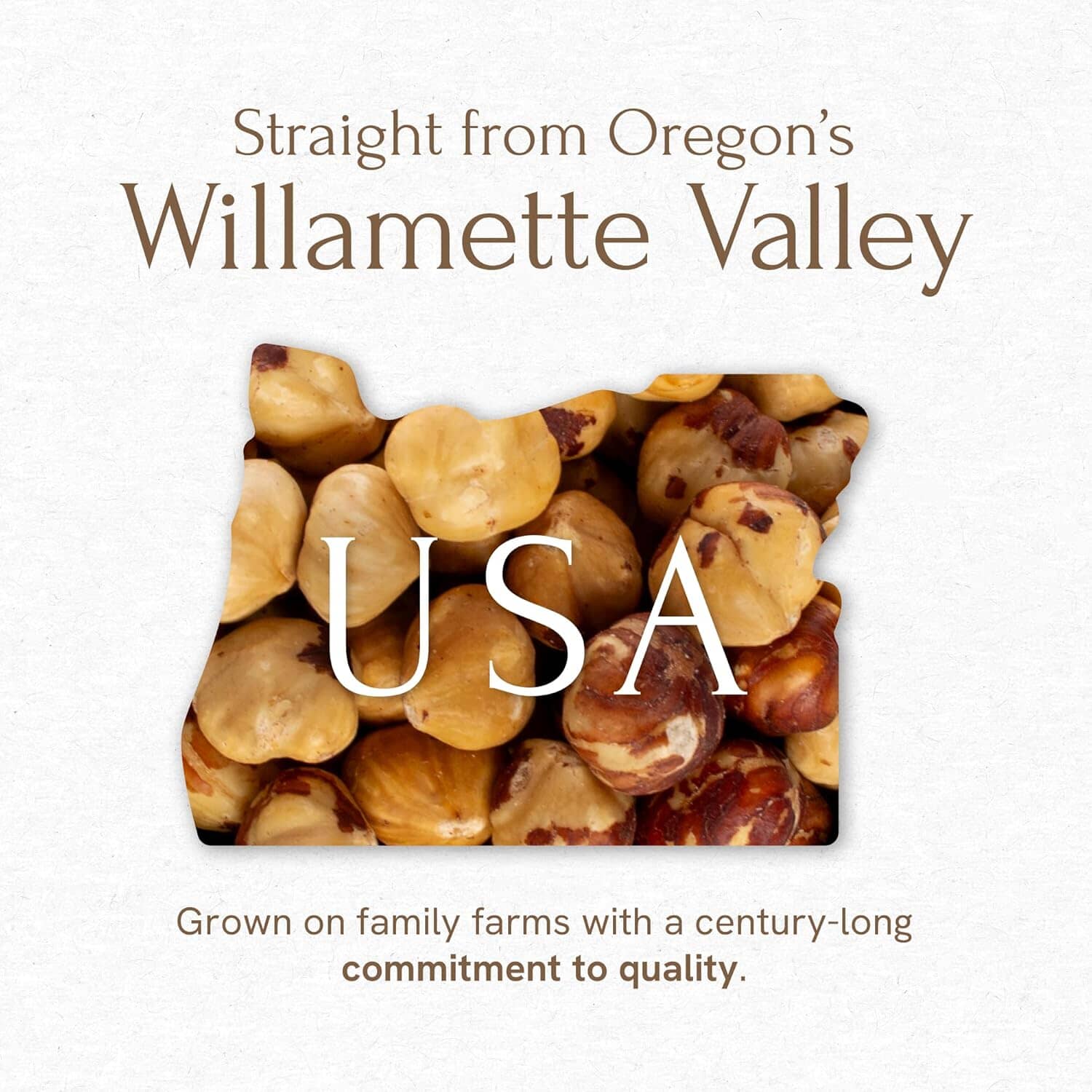 Snackathon Roasted Oregon Hazelnuts, Unsalted, Dry Roasted, Whole Filberts, Premium Natural Nuts Grown in USA, 1 LB Resealable Bag, Healthy Snack, Ideal for Baking, Nut Butters & Recipes Snackathon 