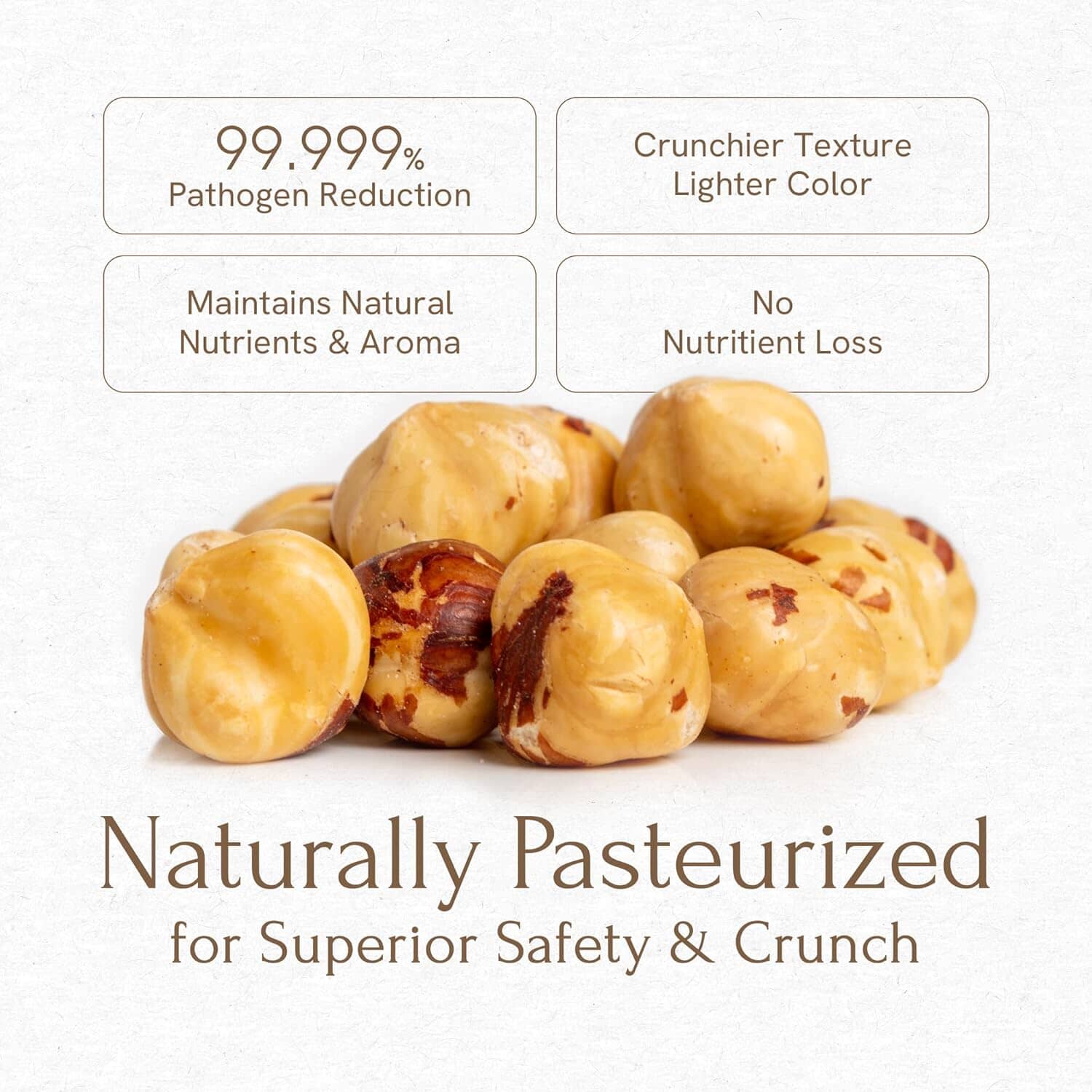 Snackathon Roasted Oregon Hazelnuts, Unsalted, Dry Roasted, Whole Filberts, Premium Natural Nuts Grown in USA, 1 LB Resealable Bag, Healthy Snack, Ideal for Baking, Nut Butters & Recipes Snackathon Foods 