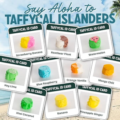 Snackathon Salt Water Taffy Assorted Mix – Taffycal Island Edition, 10-Flavor Tropical Variety, Individually Wrapped Soft & Chewy Gourmet Candy, Unique 7 oz Themed Bag for Gifting Snackathon 