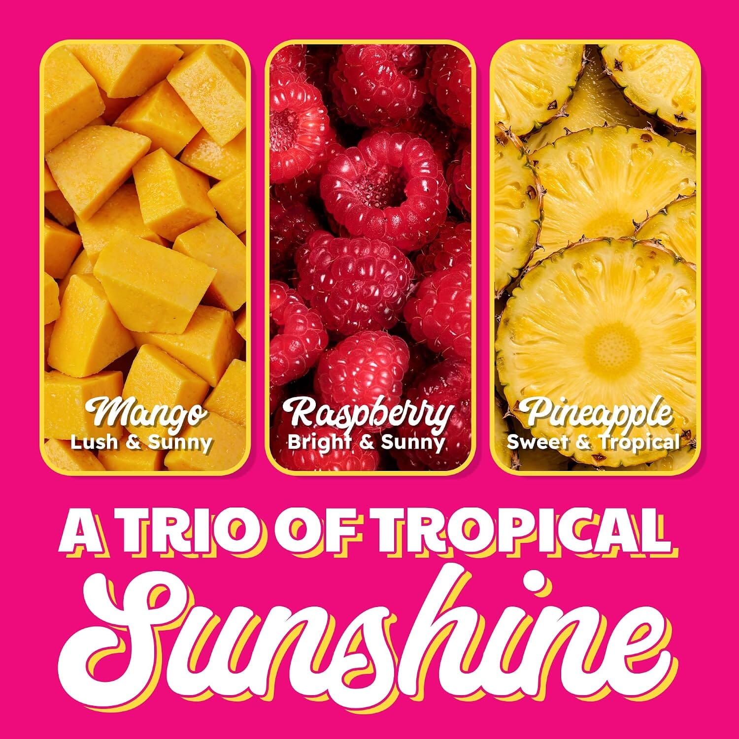 Snackathon Soft Serve Mix Variety Pack, 3 Sunshine Flavors, Makes 3 Quarts Snackathon 