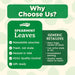 Snackathon Spearmint Leaves Candy, Soft & Chewy Mint Jelly Candy Snackathon 