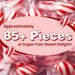 Snackathon Sugar-Free Peppermint Twists, Red & White Hard Candy Snackathon 