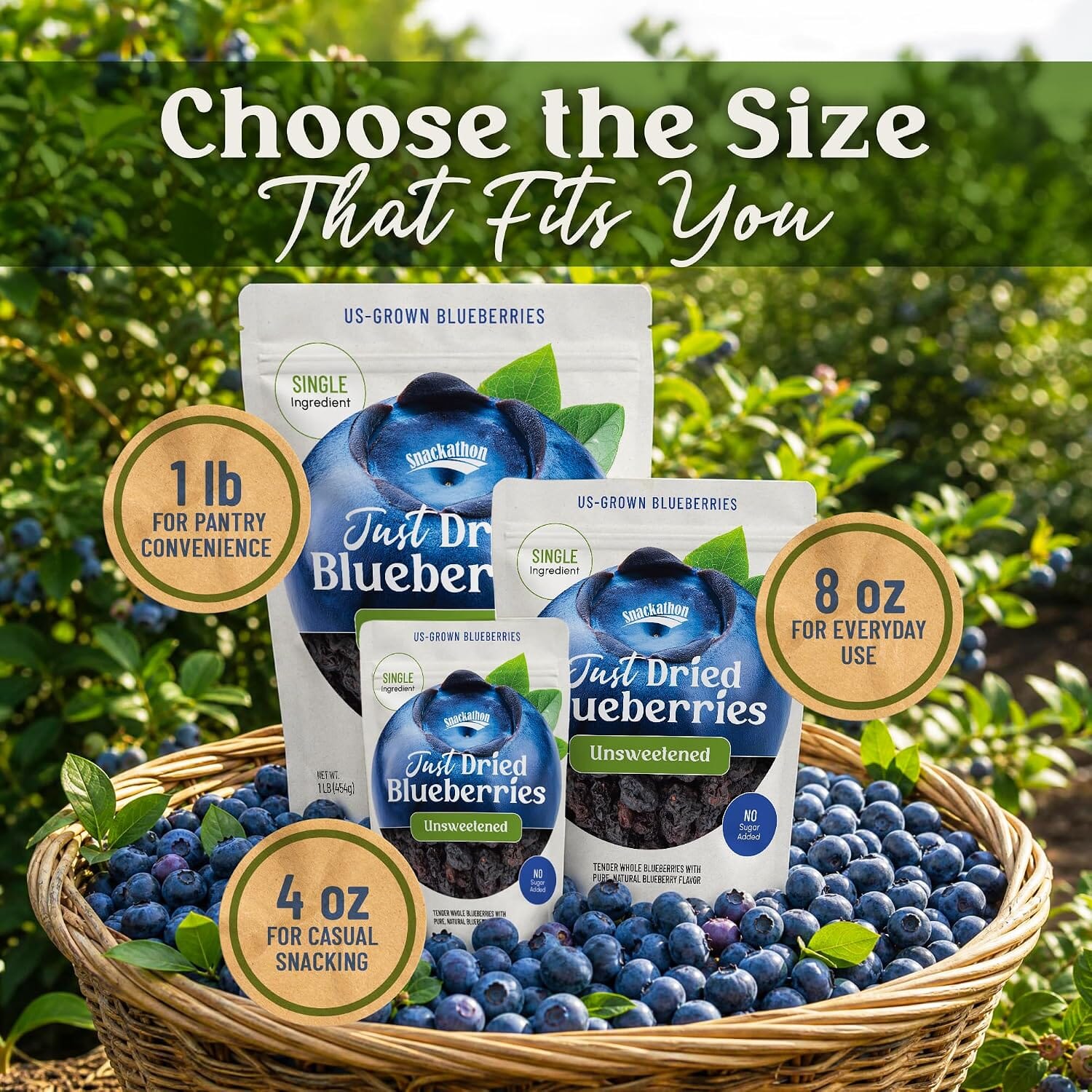 Snackathon Unsweetened Dried Blueberries, 4 oz, No Sugar Added, Just 100% Sun-Dried California Whole Berries, All Natural, Non-GMO, No Oils, Resealable Bag, Dried Fruit for Baking & Snacking Snackathon Foods 
