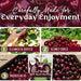 Snackathon Unsweetened Dried Dark Sweet Cherries, No Sugar Added Snackathon 