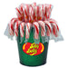 Flavored Candy Canes Spangler Jelly Belly Peppermint 2.3 Oz-30 Count 