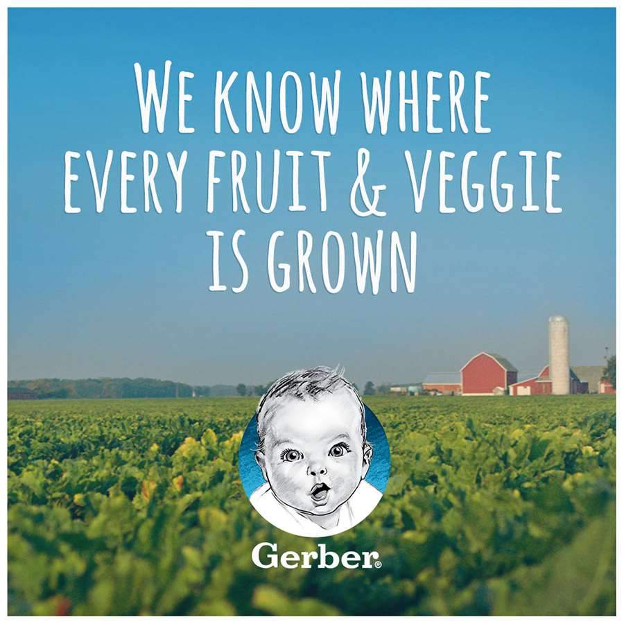 Gerber 1st Foods Gerber 