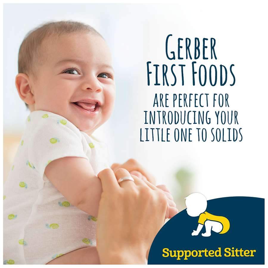 Gerber 1st Foods Gerber 